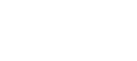 Revel Consulting